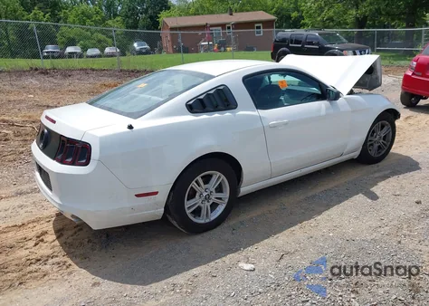 2013 Ford Mustang V6 z USA, uszkodzony, nr VIN 1ZVBP8AM4D5261559